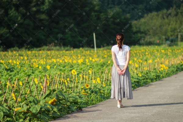 武汉夜网桑拿,汉口养生新去处 武汉夜网桑拿,汉口养生新去处