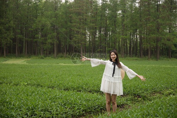 武汉新中式茶馆，古韵盎然品茗时光